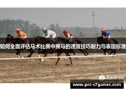如何全面评估马术比赛中赛马的速度技巧耐力与表现标准 如何全面评估马术比赛中赛马的速度技巧耐力与表现标准