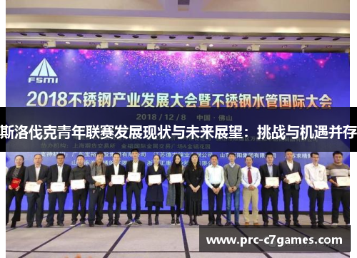 斯洛伐克青年联赛发展现状与未来展望:挑战与机遇并存 斯洛伐克青年联赛发展现状与未来展望:挑战与机遇并存