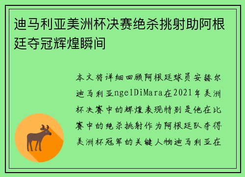 迪马利亚美洲杯决赛绝杀挑射助阿根廷夺冠辉煌瞬间